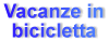 Vacanze in bicicletta